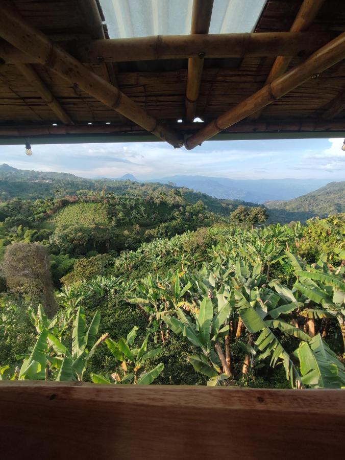 El Turpial * Jericoc (Antioquia)