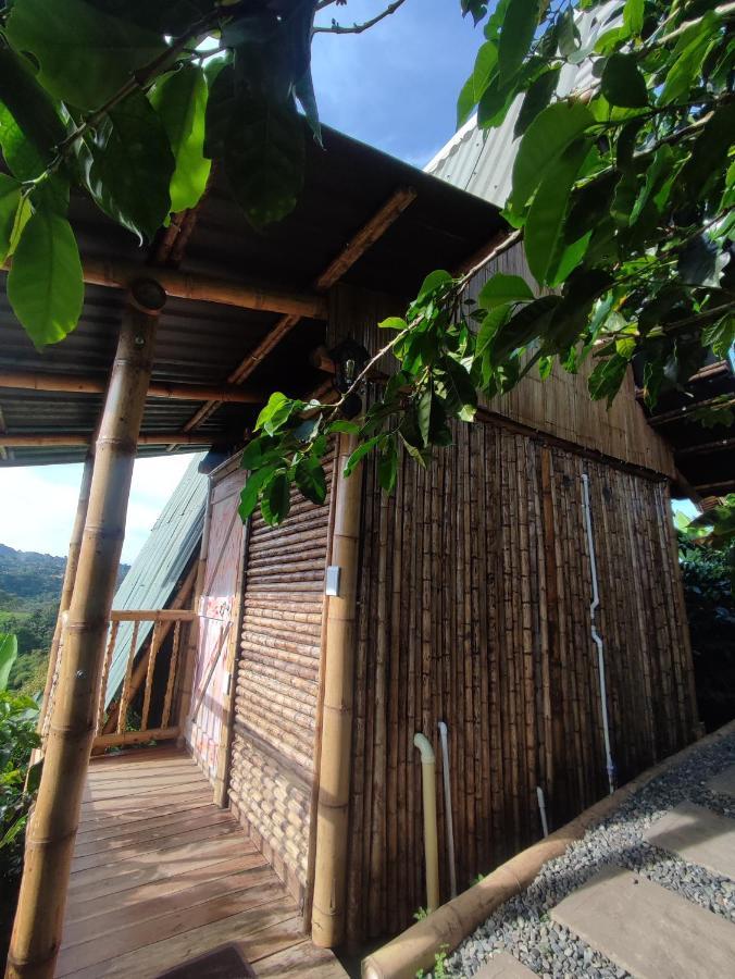 El Turpial * Jericoc (Antioquia)