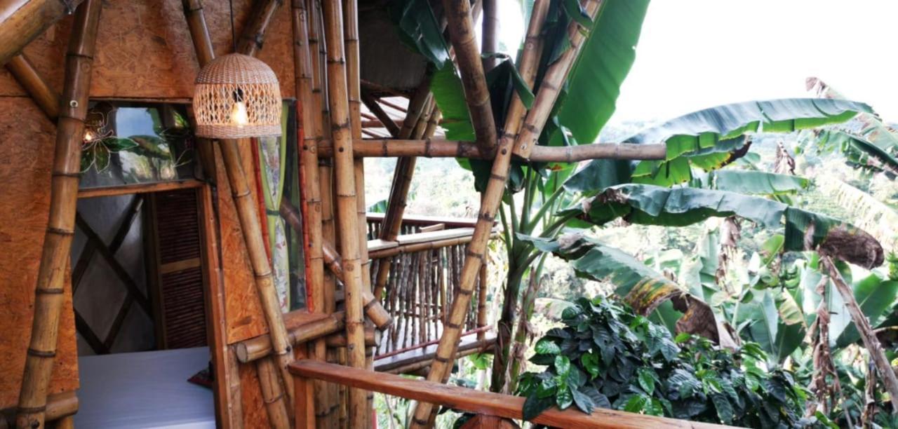 Campingplatz El Turpial Jericoc (Antioquia)